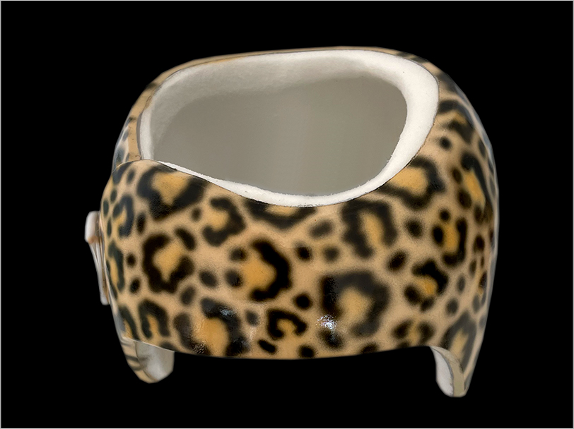 airbrush-design-berlin-craniohelm-jaguar